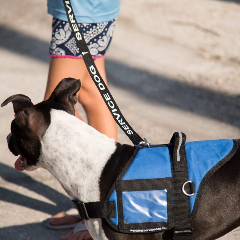 WORKINGSERVICEDOG.COM Service Dog Leash - Includes 5 Federal Law Handout Cards - Can Be Used with or Without a Service Dog Vest - Image 5
